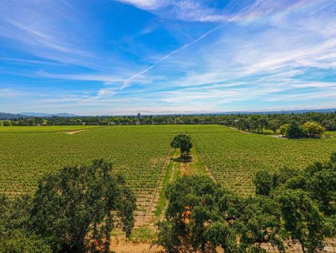 592 Peppertree Drive Windsor CA 95492