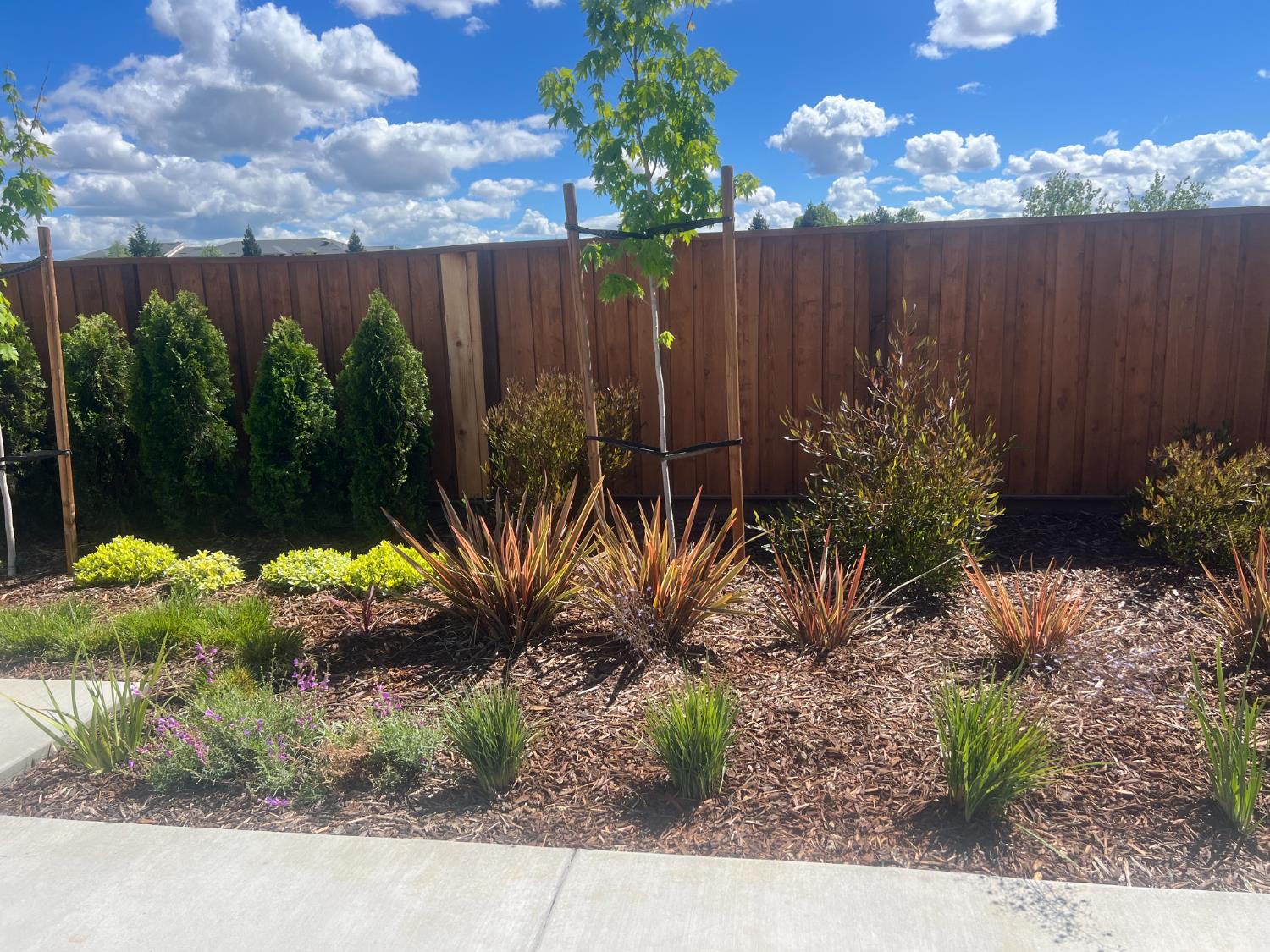 3360 Houser Court Davis CA 95616