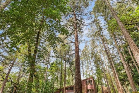 2656 Knob Hill Drive Santa Rosa CA 95404