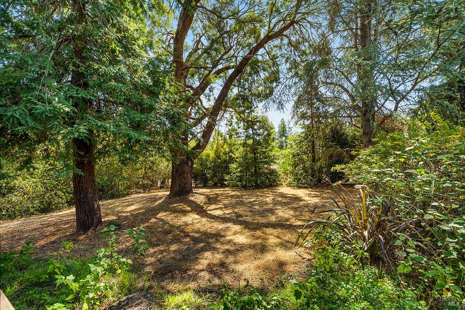 690 Palm Avenue Penngrove CA 94951