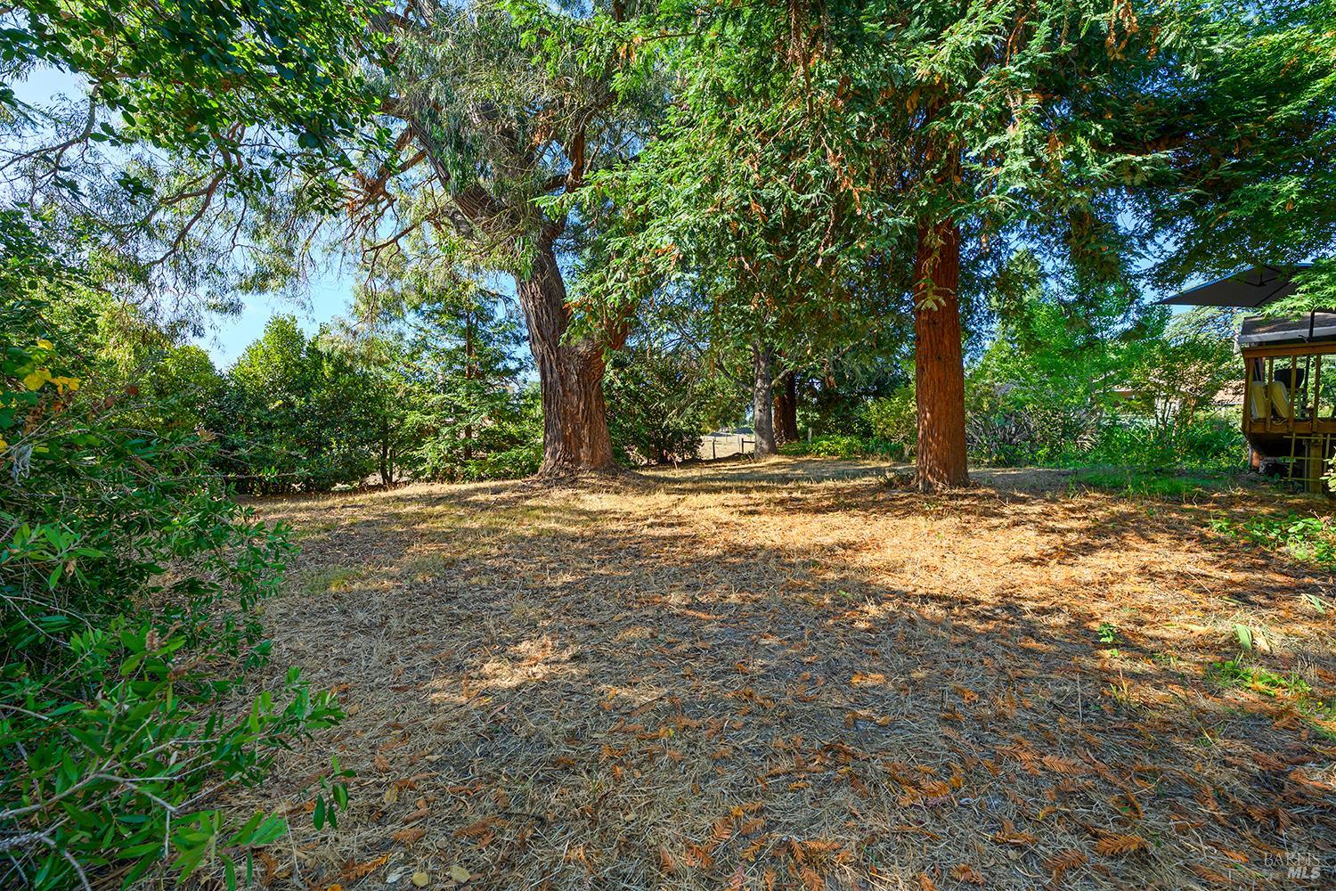 690 Palm Avenue Penngrove CA 94951