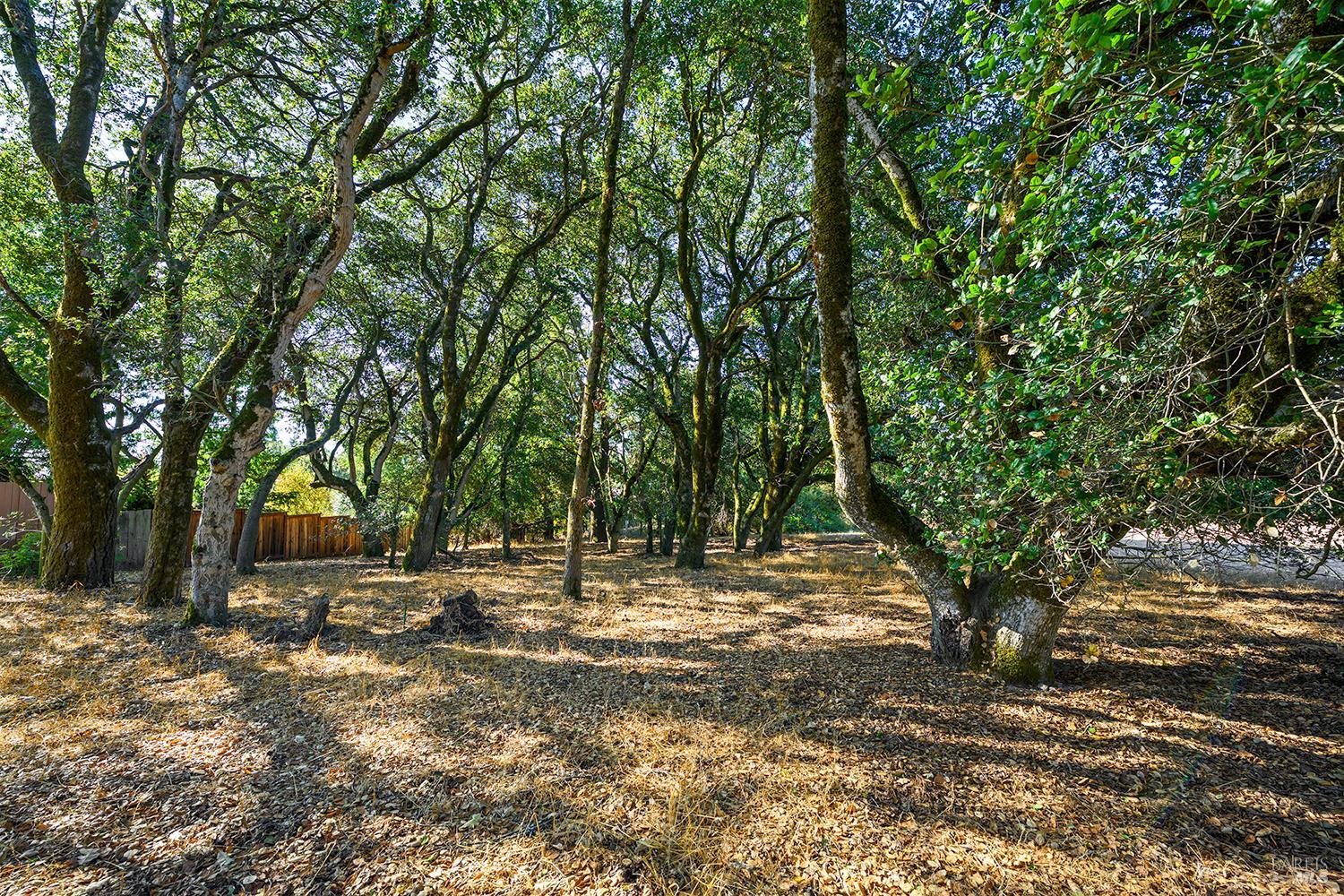 690 Palm Avenue Penngrove CA 94951