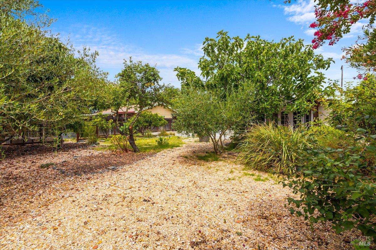 232 Twin Oaks Way Healdsburg CA 95448
