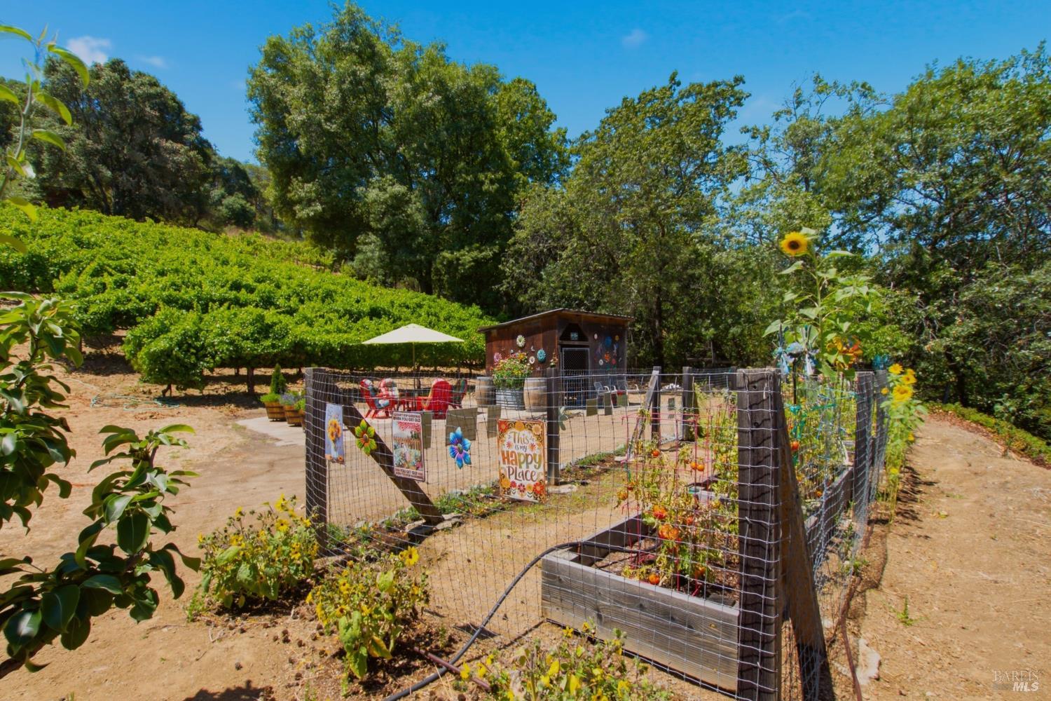 5301 Lake Ridge Drive Ukiah CA 95482
