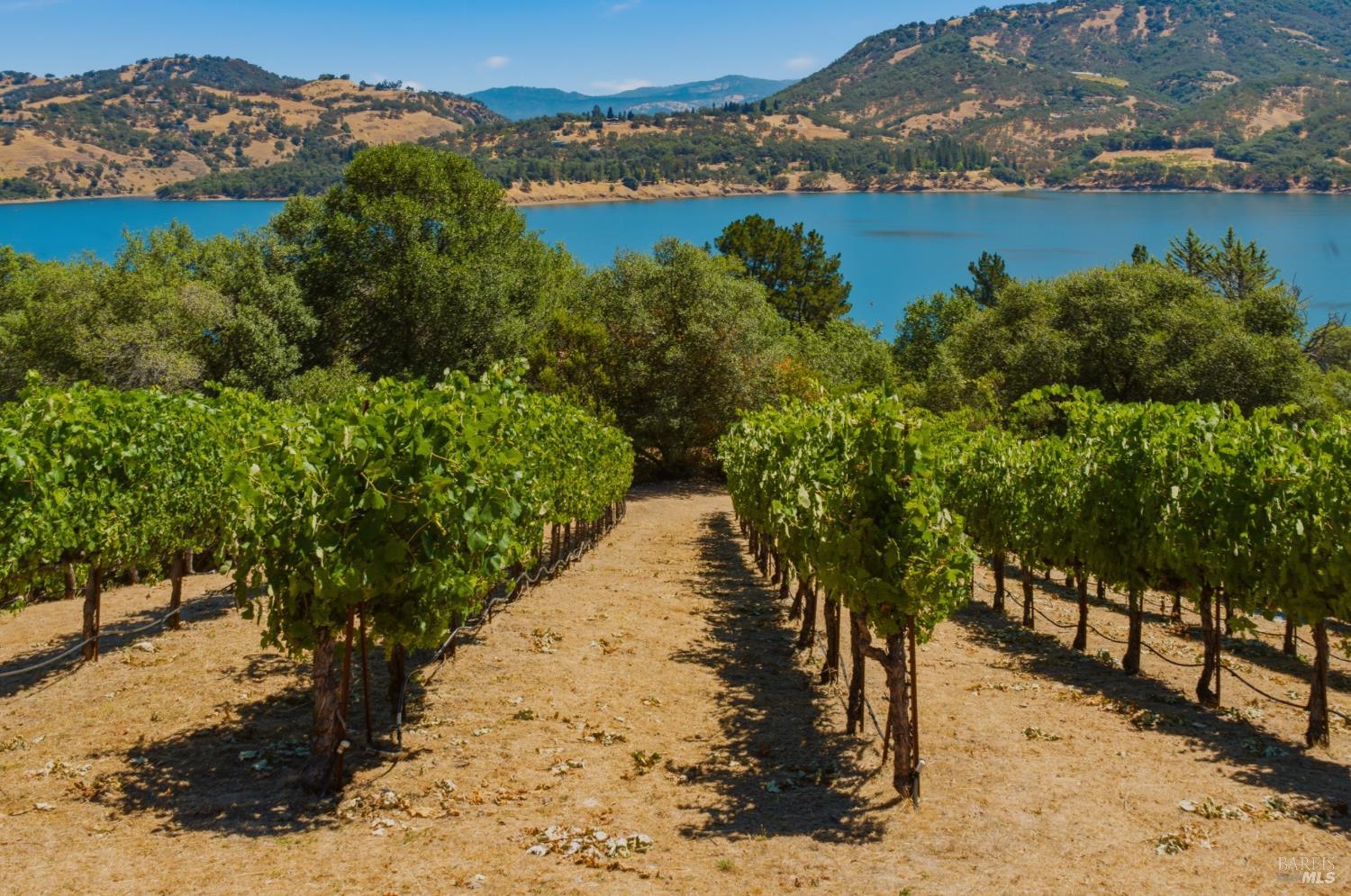 5301 Lake Ridge Drive Ukiah CA 95482
