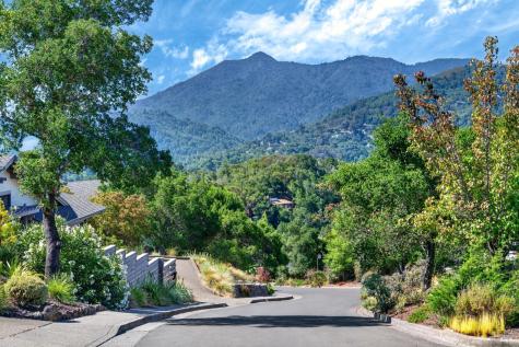 39 Tomahawk Drive San Anselmo CA 94960