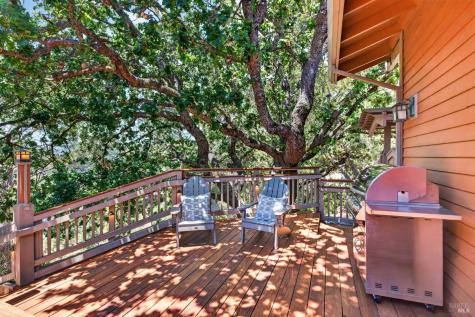 39 Tomahawk Drive San Anselmo CA 94960