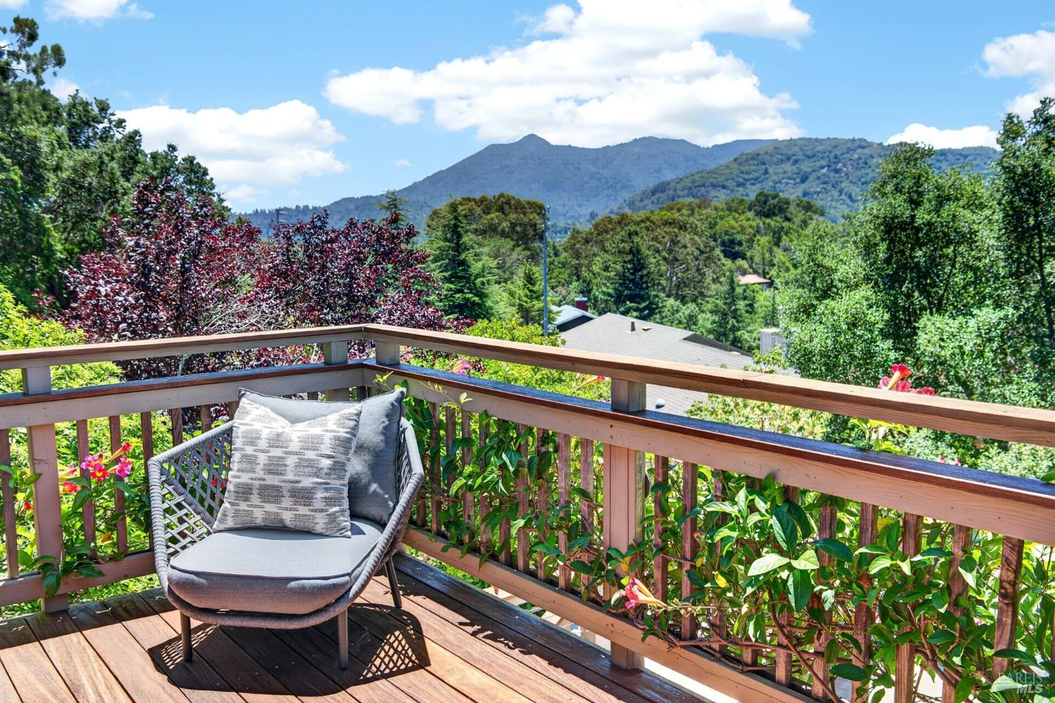 39 Tomahawk Drive San Anselmo CA 94960