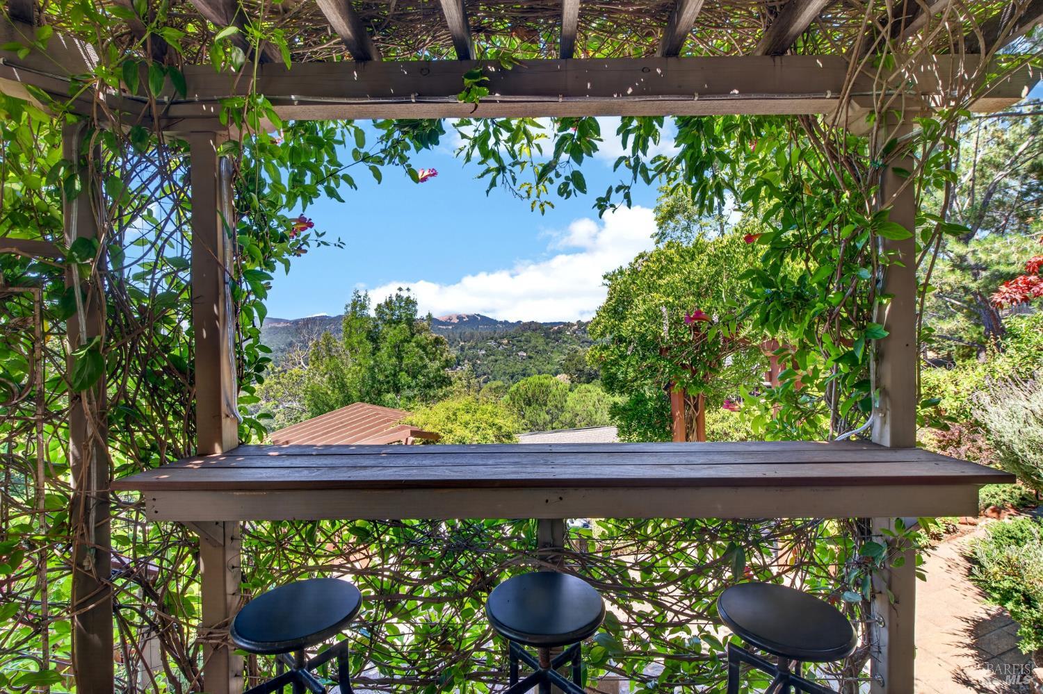 39 Tomahawk Drive San Anselmo CA 94960