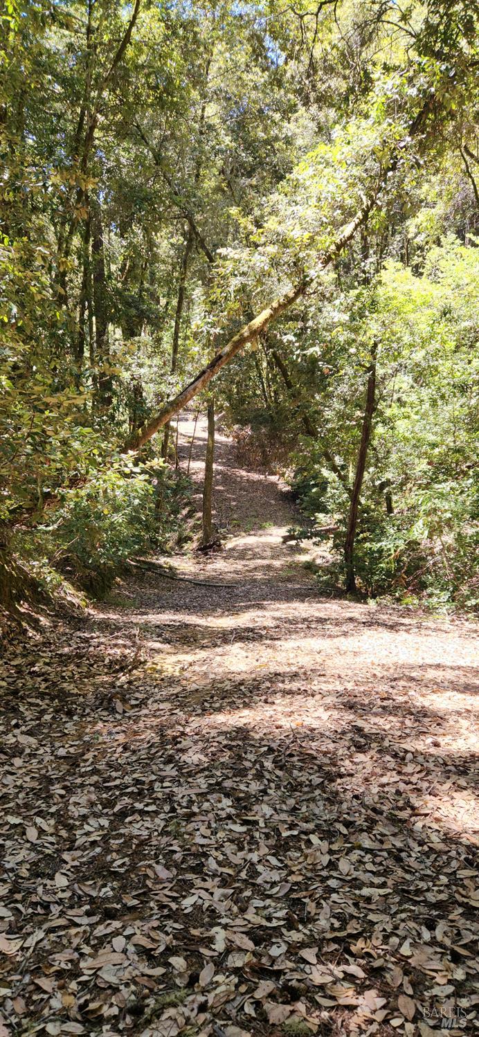 40330 Old Stage Road Gualala CA 95445
