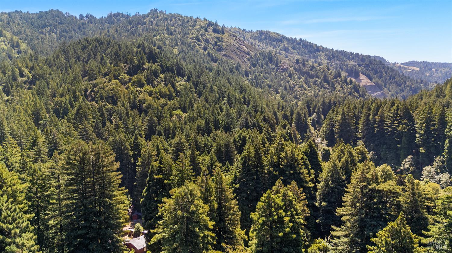 1425 Austin Creek Road Cazadero CA 95421