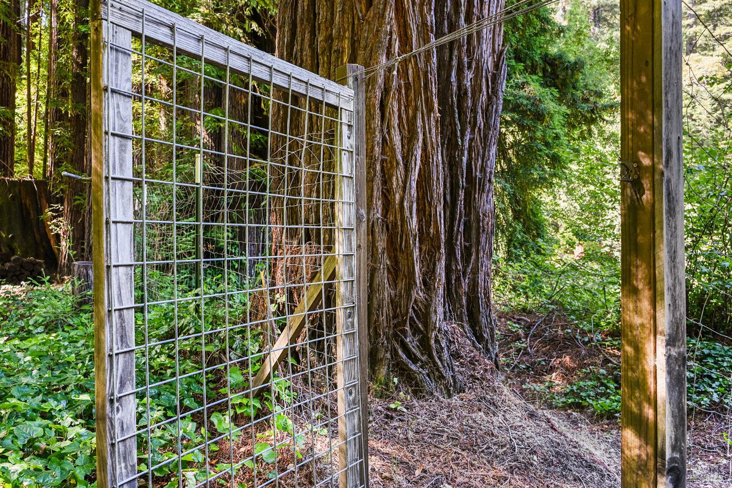 1425 Austin Creek Road Cazadero CA 95421