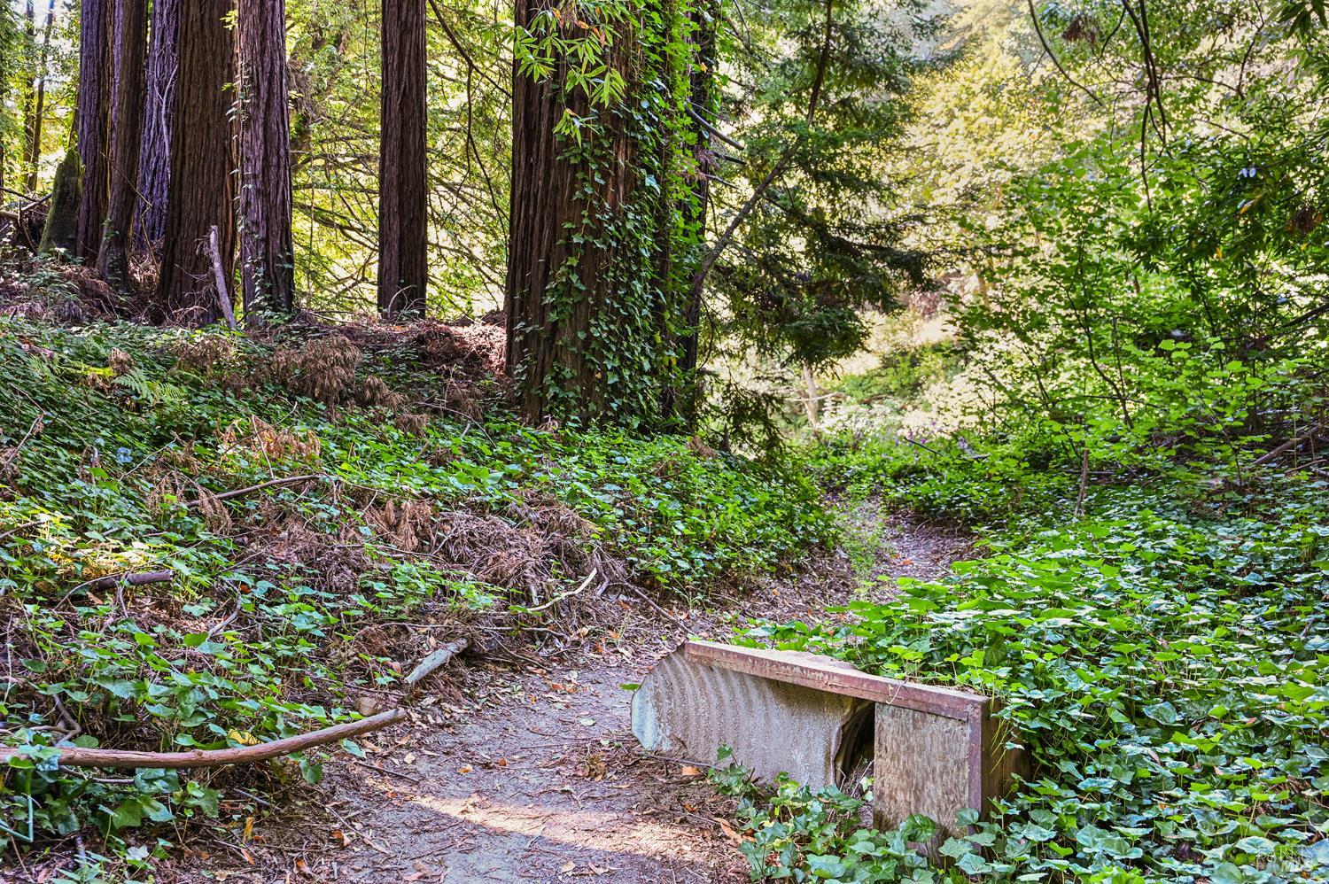 1425 Austin Creek Road Cazadero CA 95421