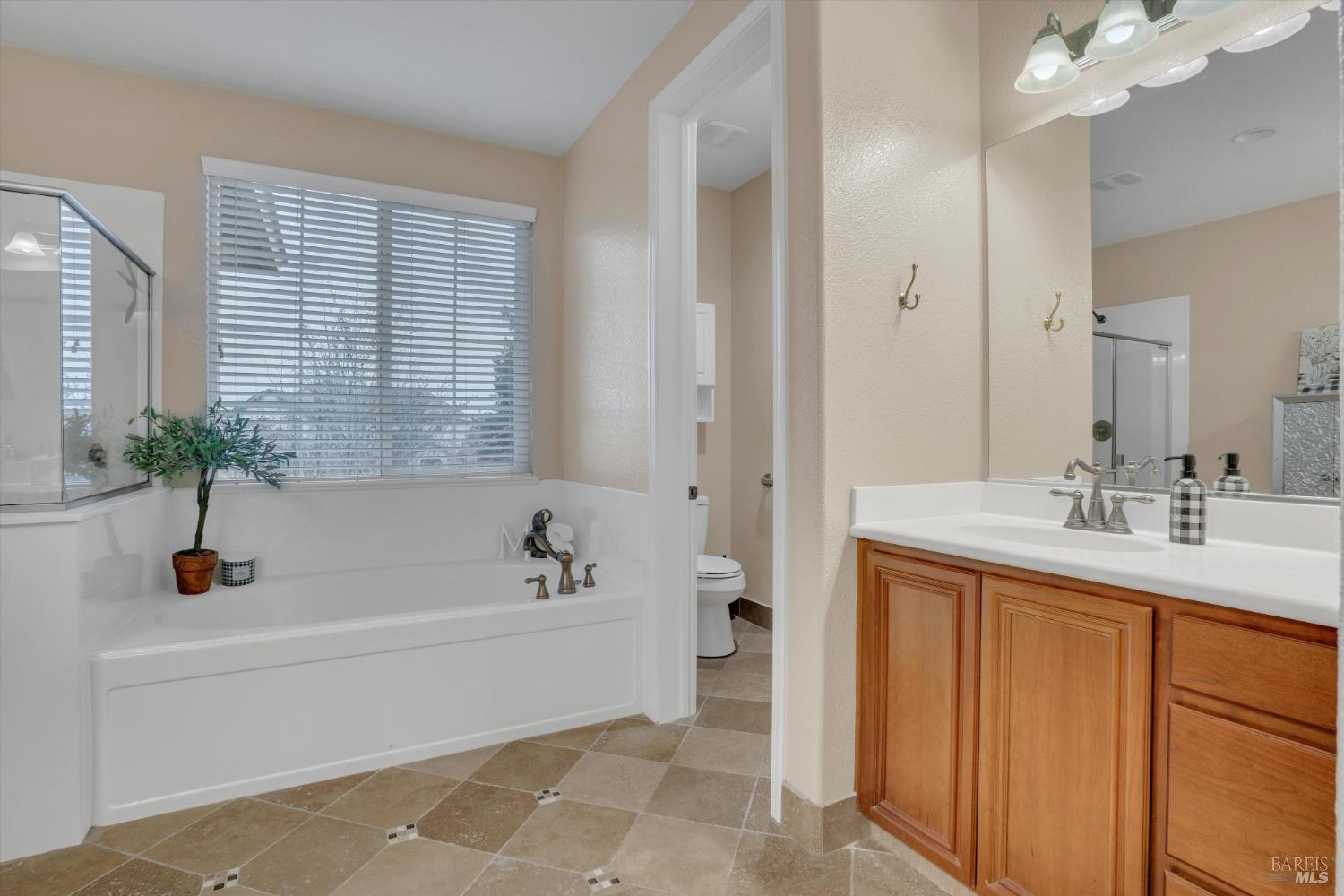 1007 Canterbury Court Vacaville CA 95687