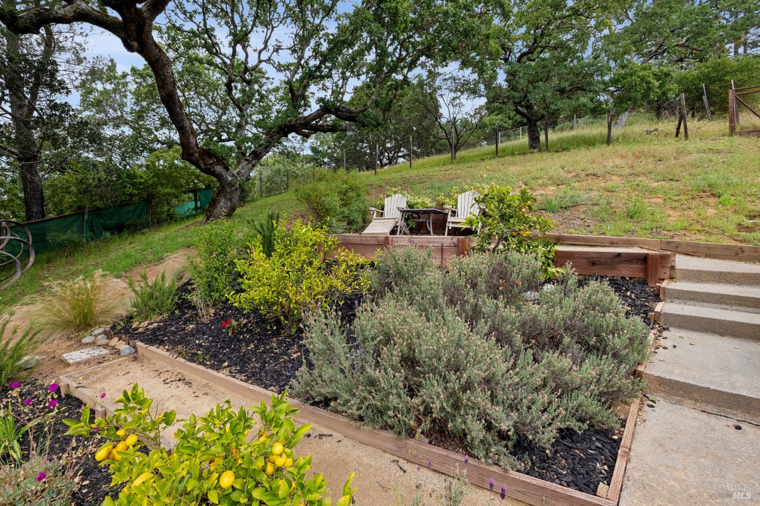 33 Plata Court Novato CA 94947