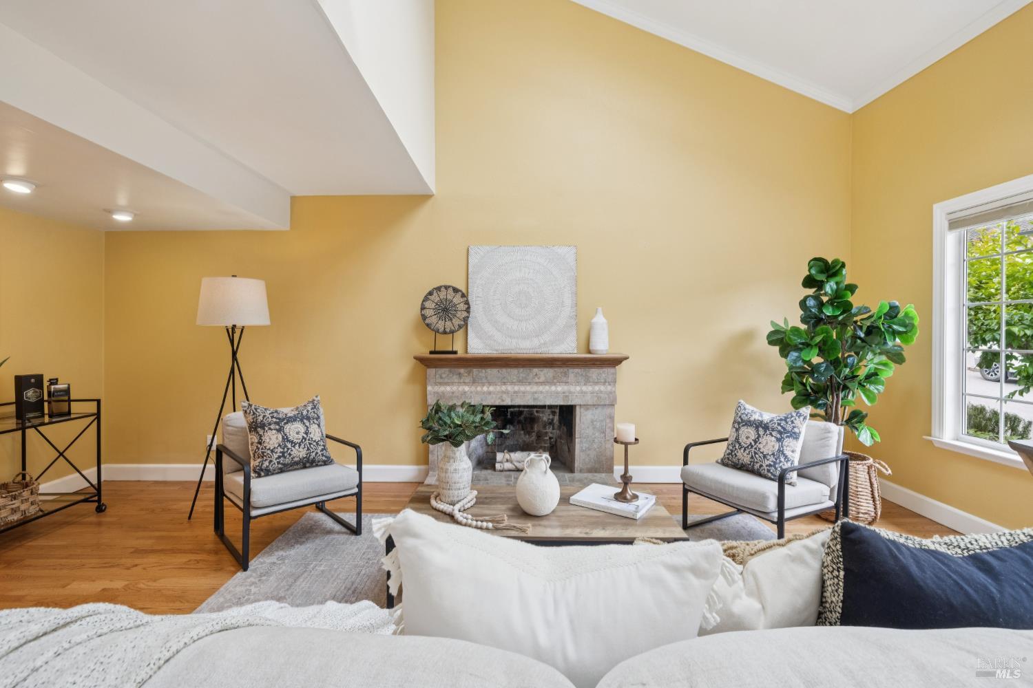 33 Plata Court Novato CA 94947