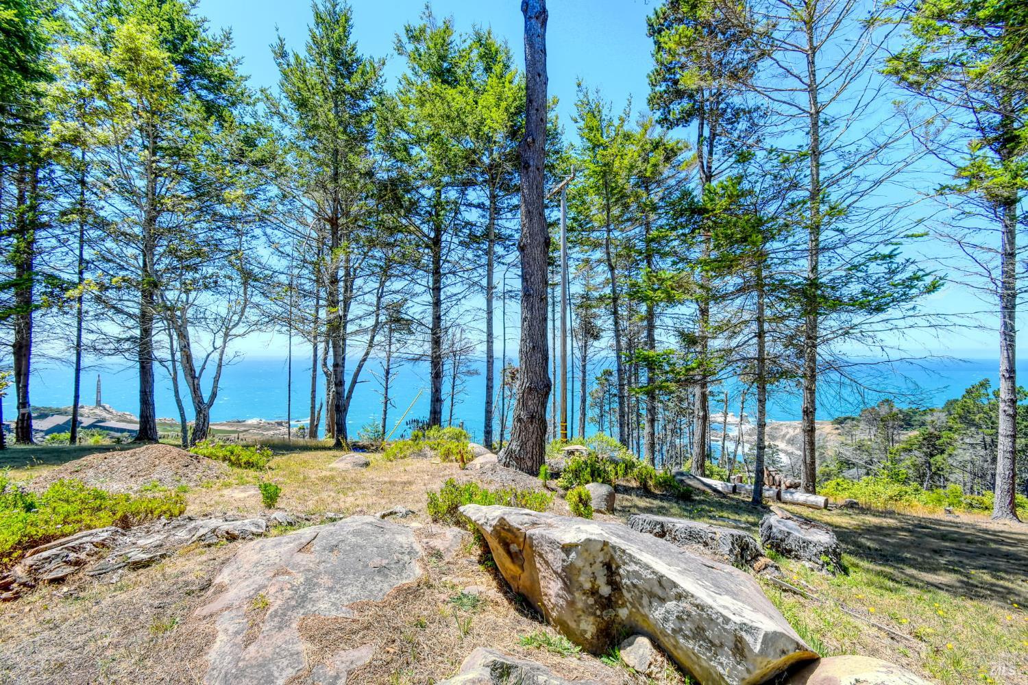 21985 Timber Cove Road Timber Cove CA 95450