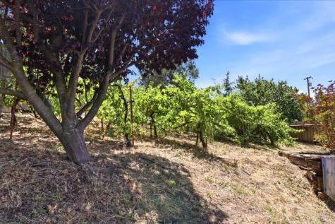 9160 Water Road Cotati CA 94931