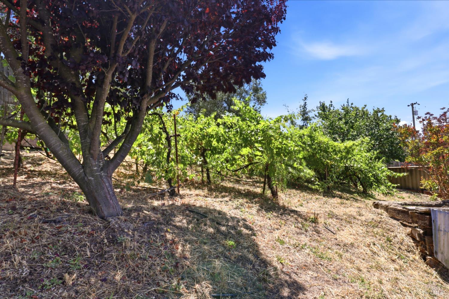 9160 Water Road Cotati CA 94931