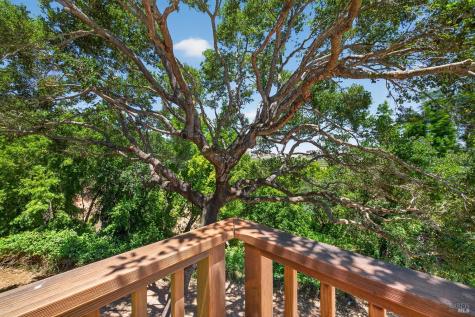 7 Guisela Court Novato CA 94945