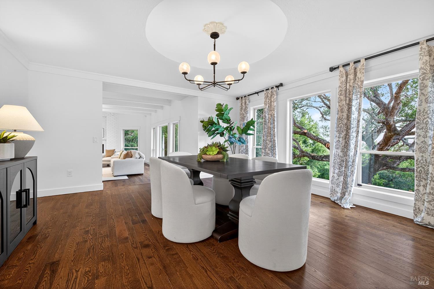 7 Guisela Court Novato CA 94945