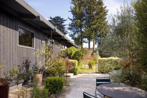13 Ridge Avenue Mill Valley CA 94941