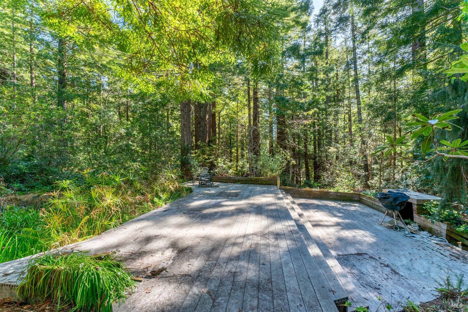 33100 Frog Pond Road Little River CA 95456