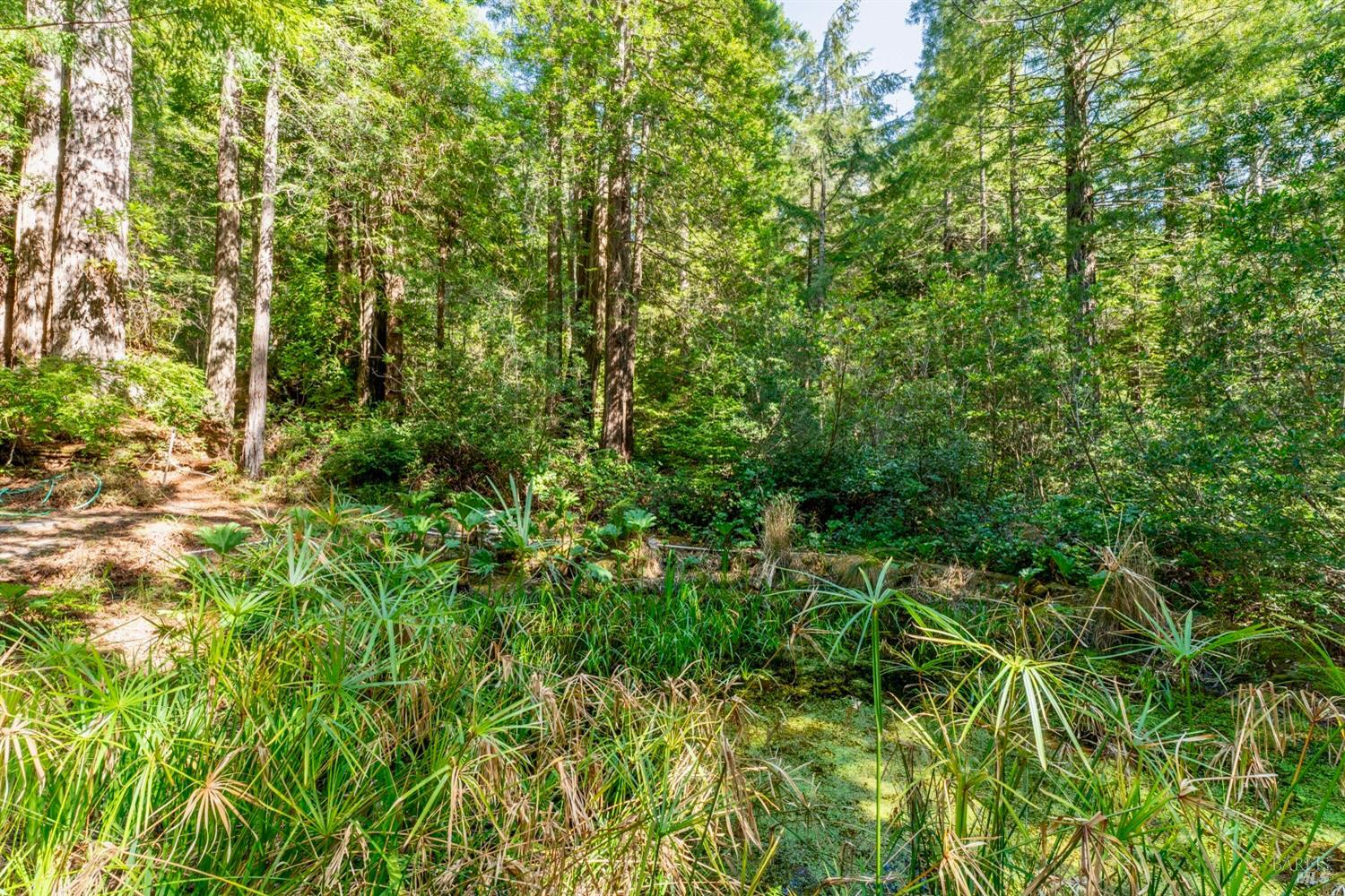 33100 Frog Pond Road Little River CA 95456