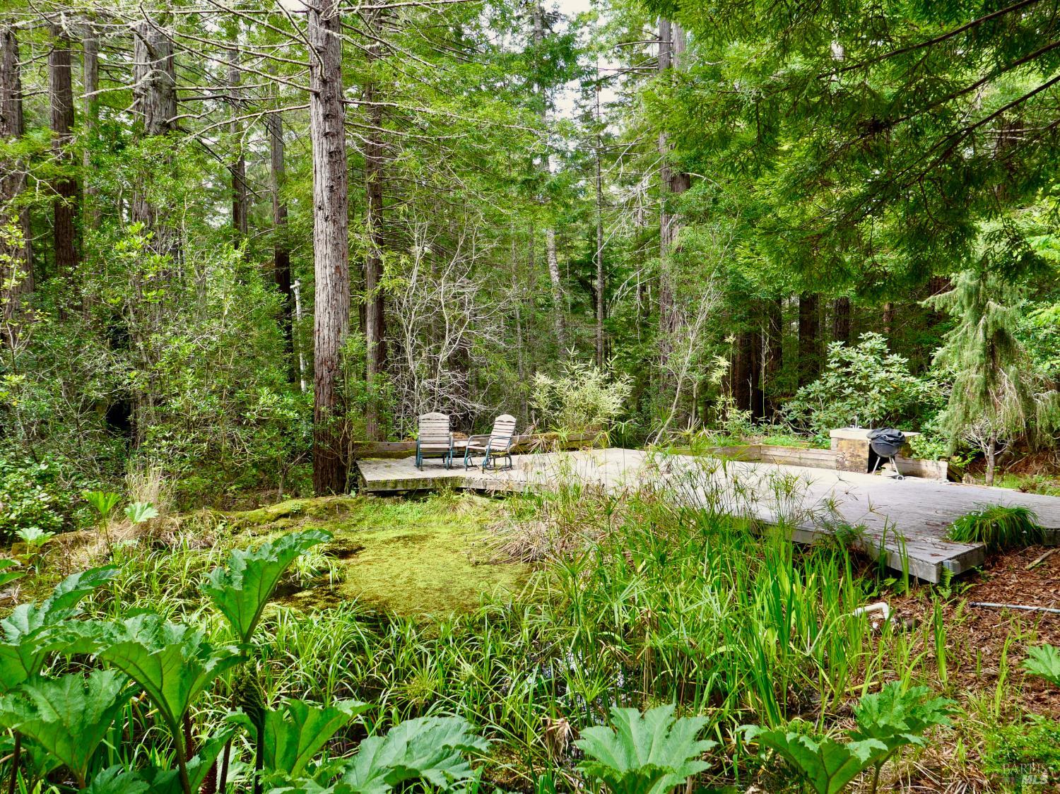 33100 Frog Pond Road Little River CA 95456