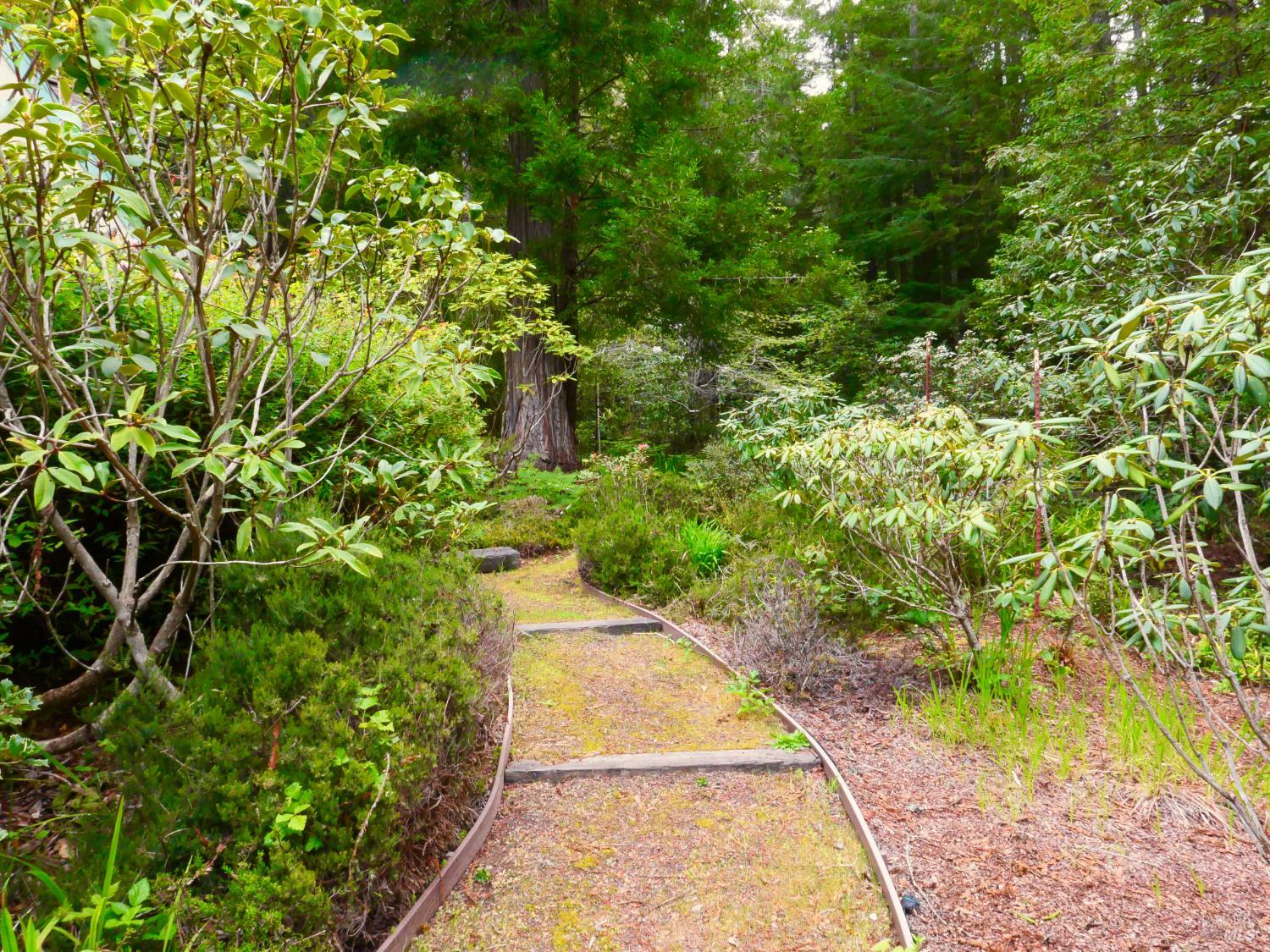 33100 Frog Pond Road Little River CA 95456