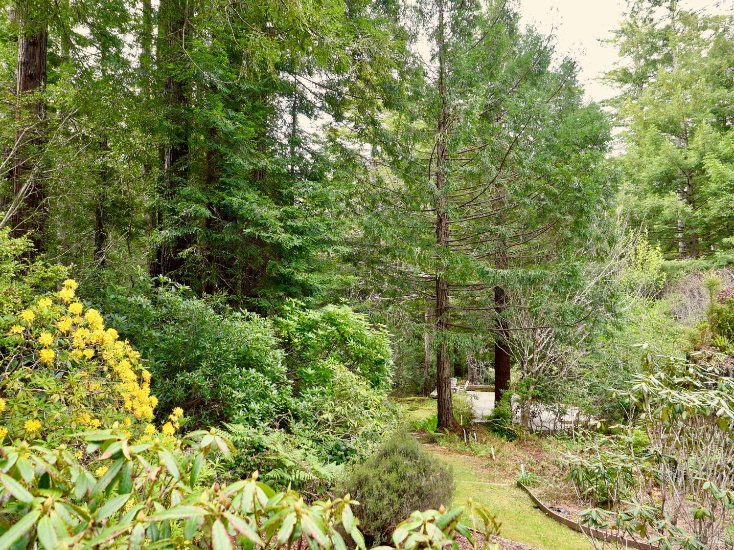 33100 Frog Pond Road Little River CA 95456
