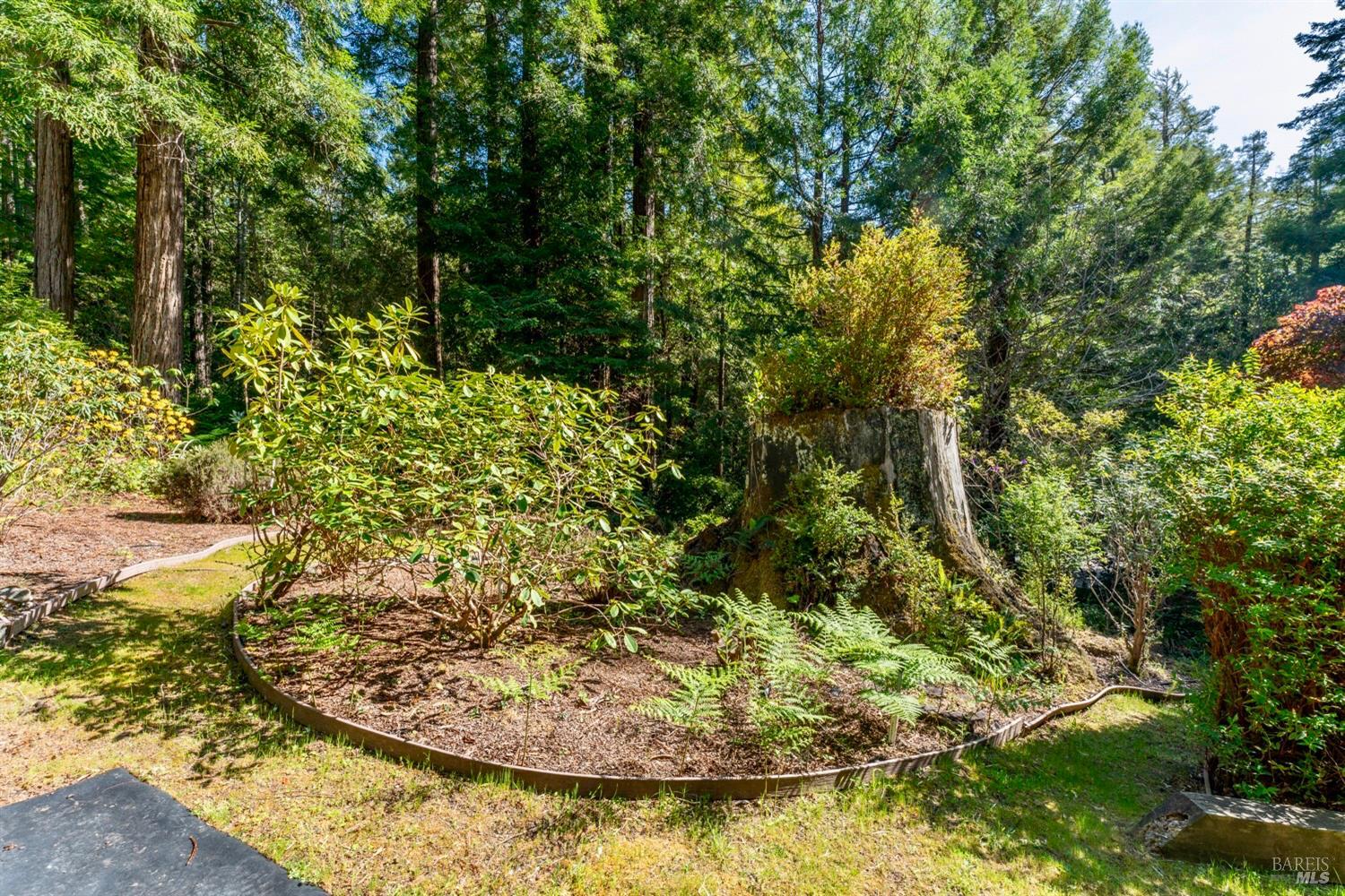 33100 Frog Pond Road Little River CA 95456
