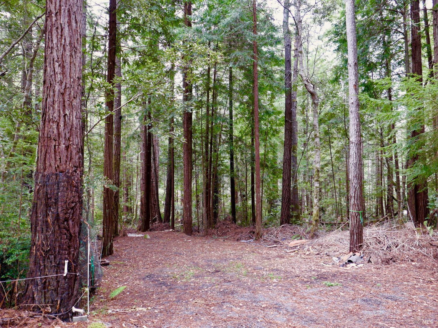 33100 Frog Pond Road Little River CA 95456