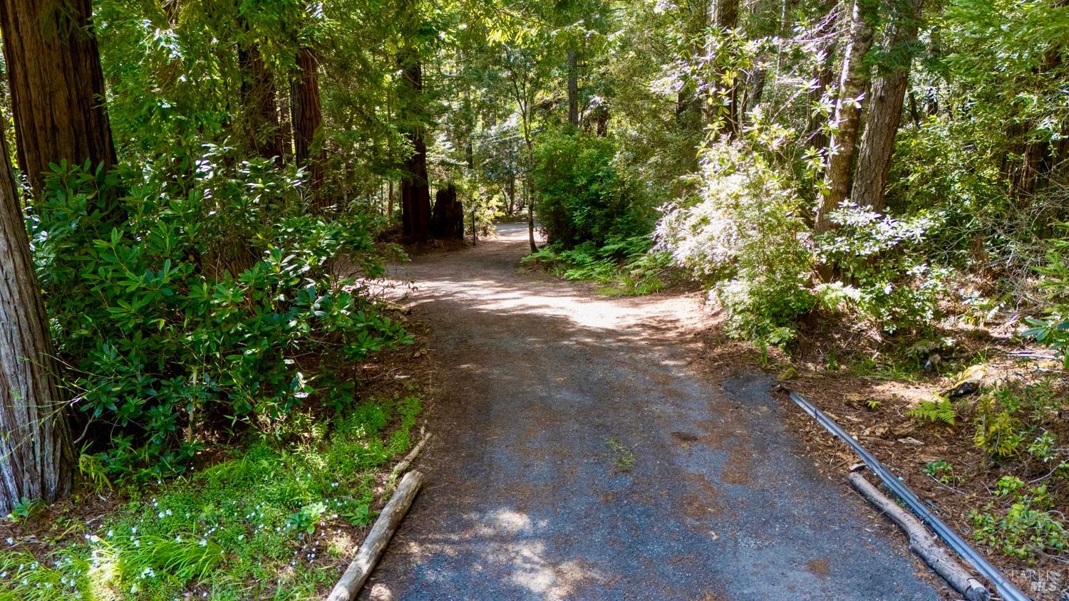 33100 Frog Pond Road Little River CA 95456