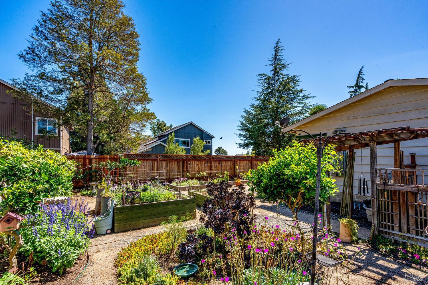 1537 Ora Drive Napa CA 94559