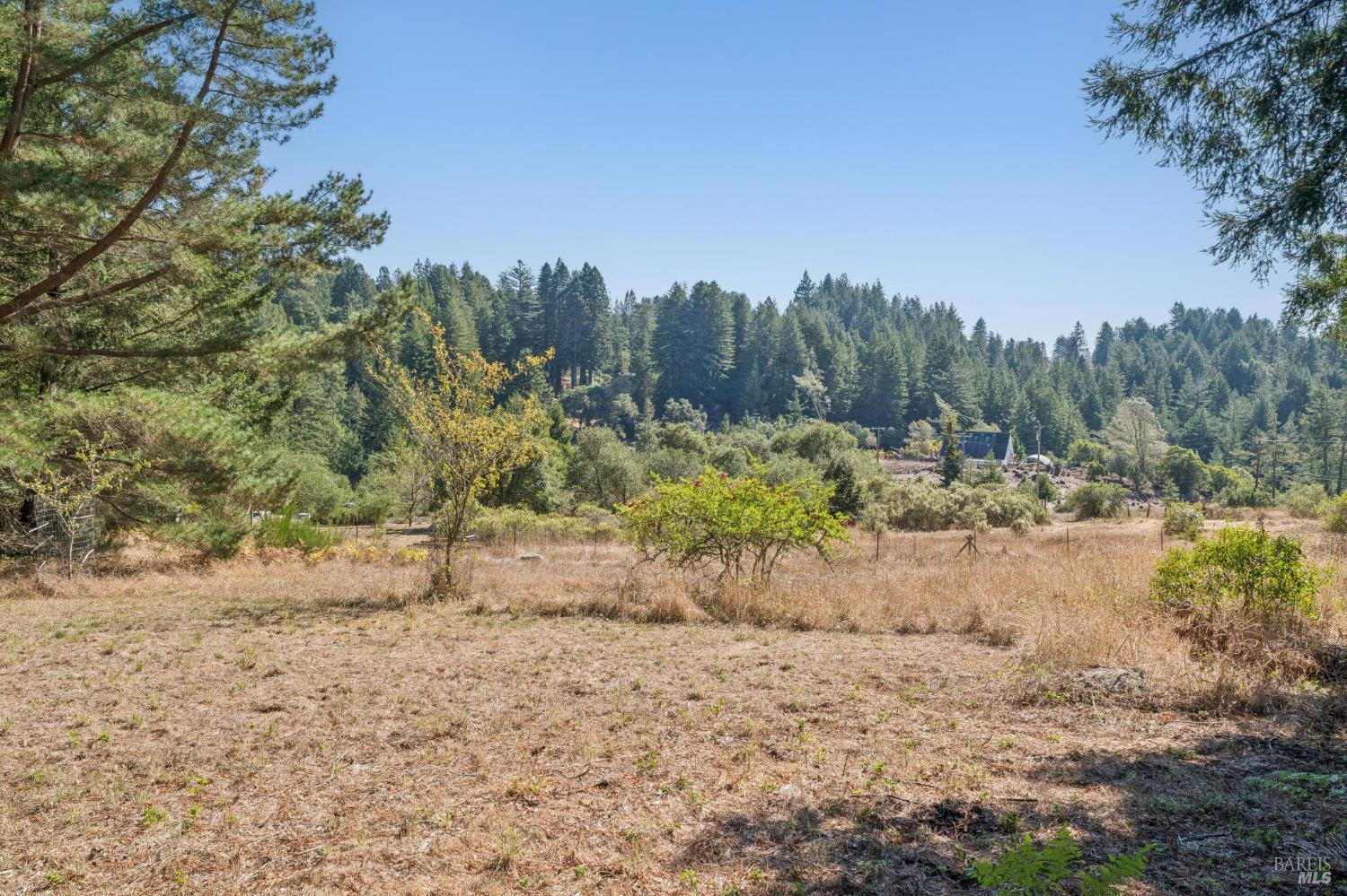 3565 Joy Road Occidental CA 95465