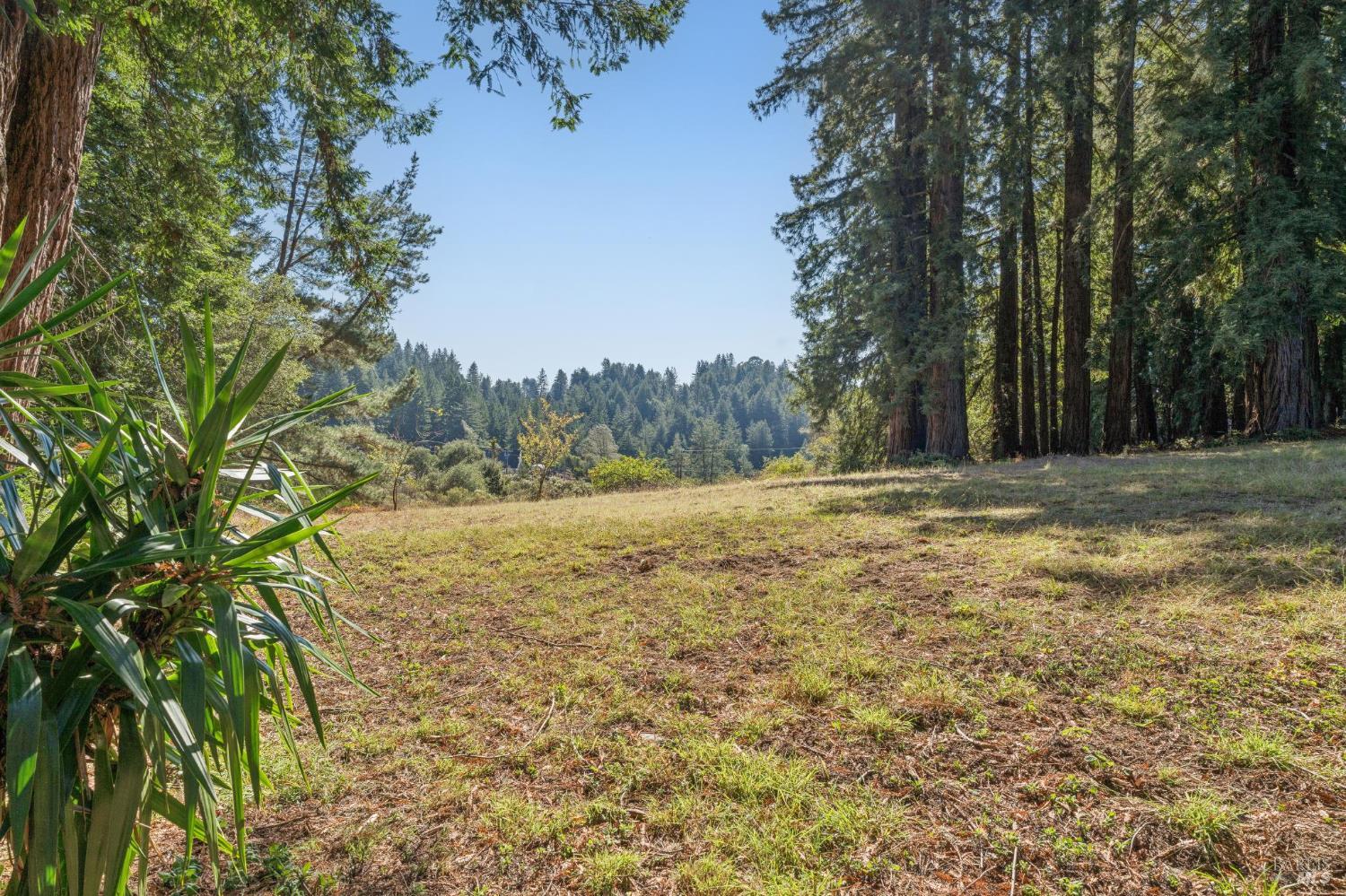 3565 Joy Road Occidental CA 95465