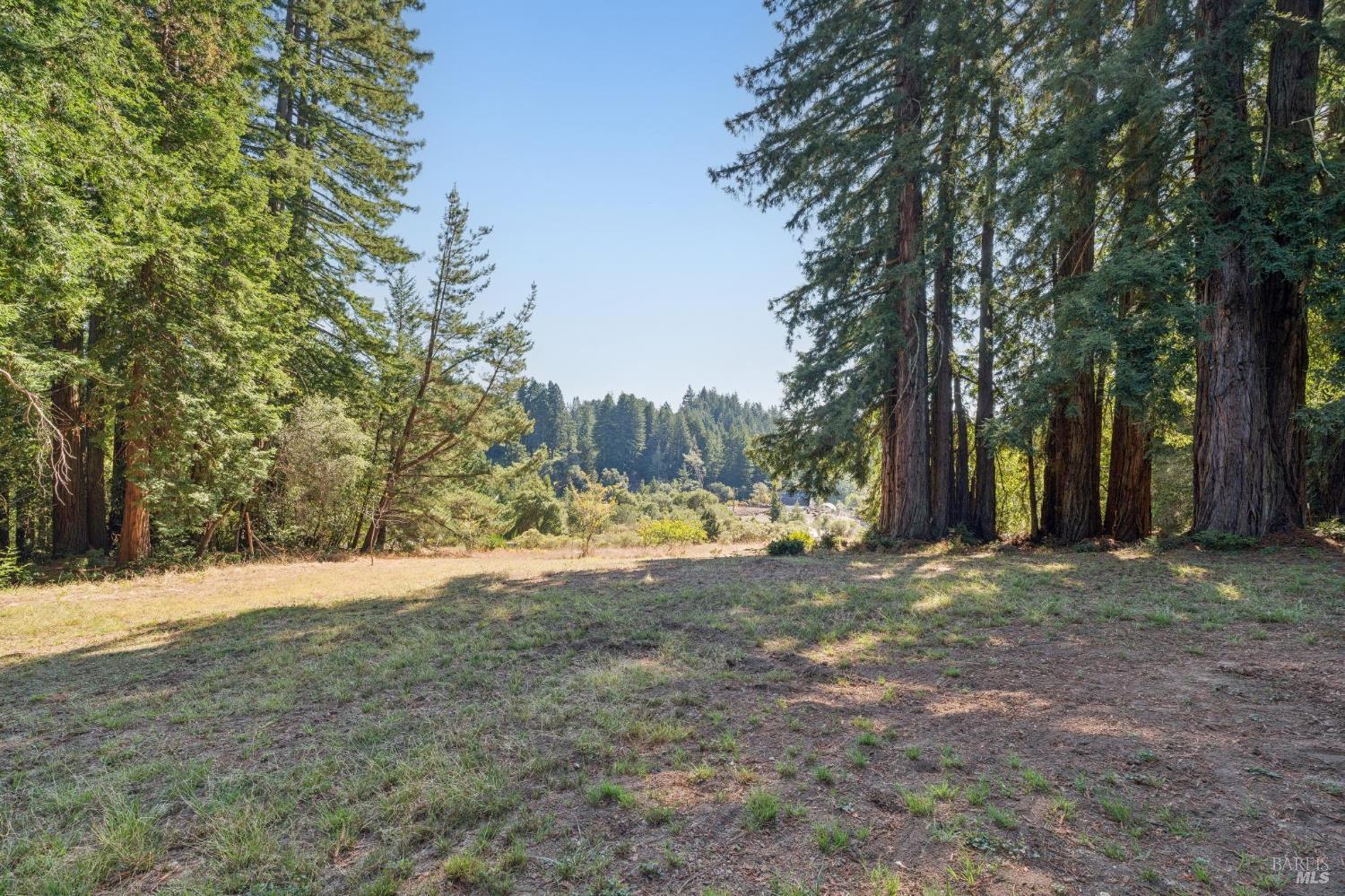 3565 Joy Road Occidental CA 95465
