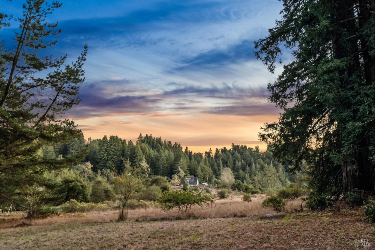 3565 Joy Road Occidental CA 95465