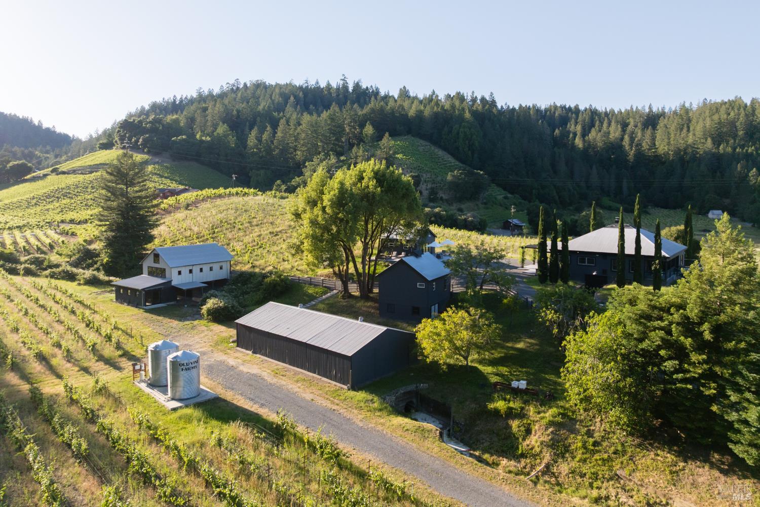 8781 Martinelli Road Forestville CA 95436