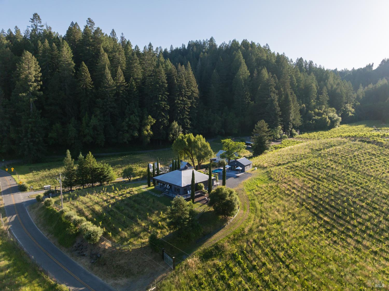 8781 Martinelli Road Forestville CA 95436