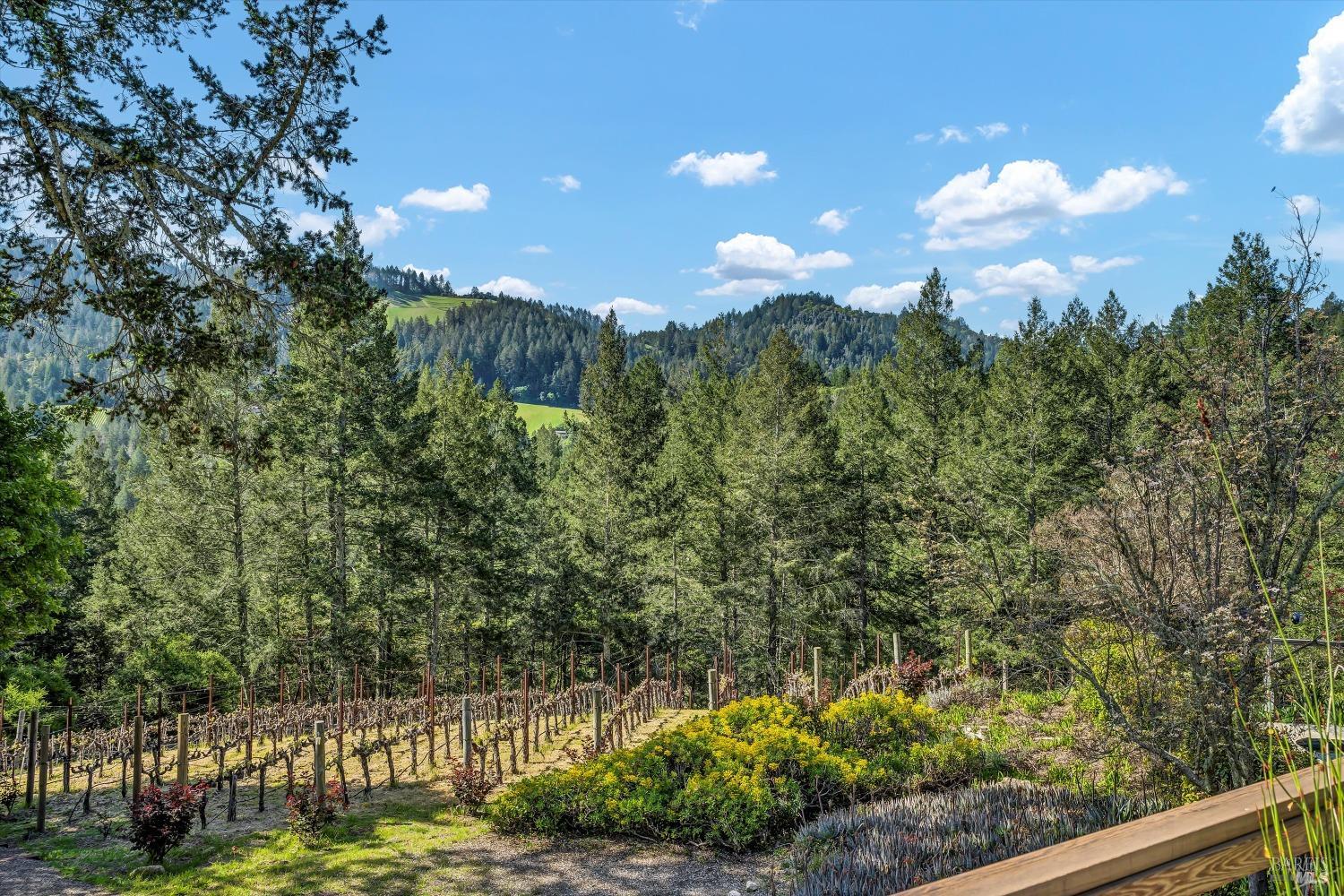 511 Kortum Canyon Road Calistoga CA 94515