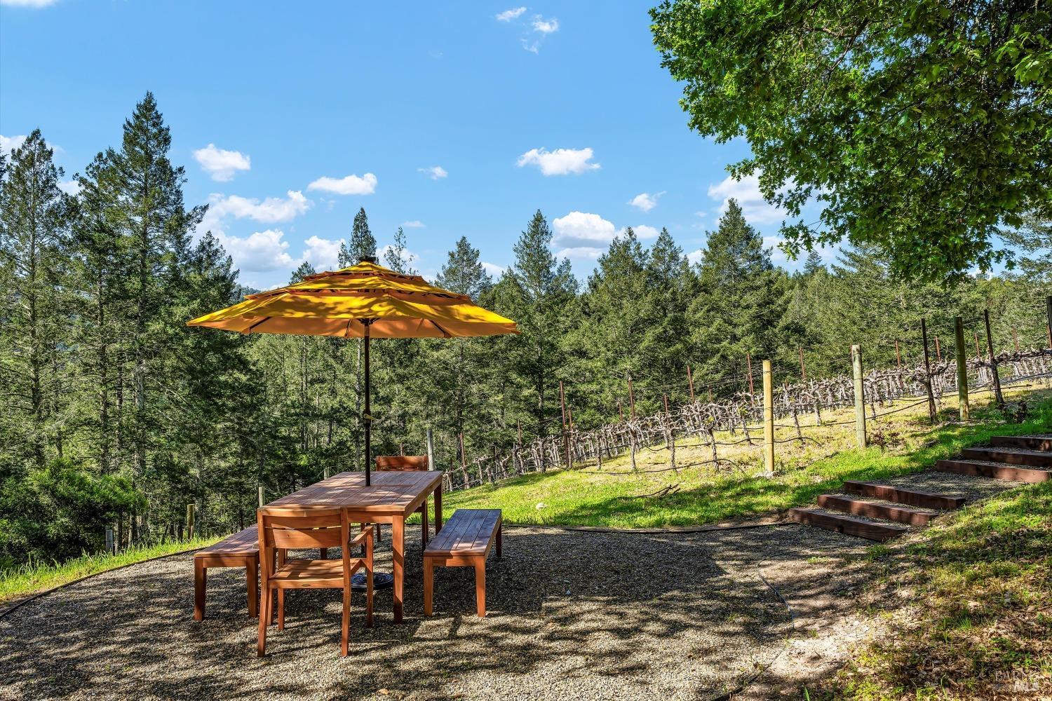 511 Kortum Canyon Road Calistoga CA 94515