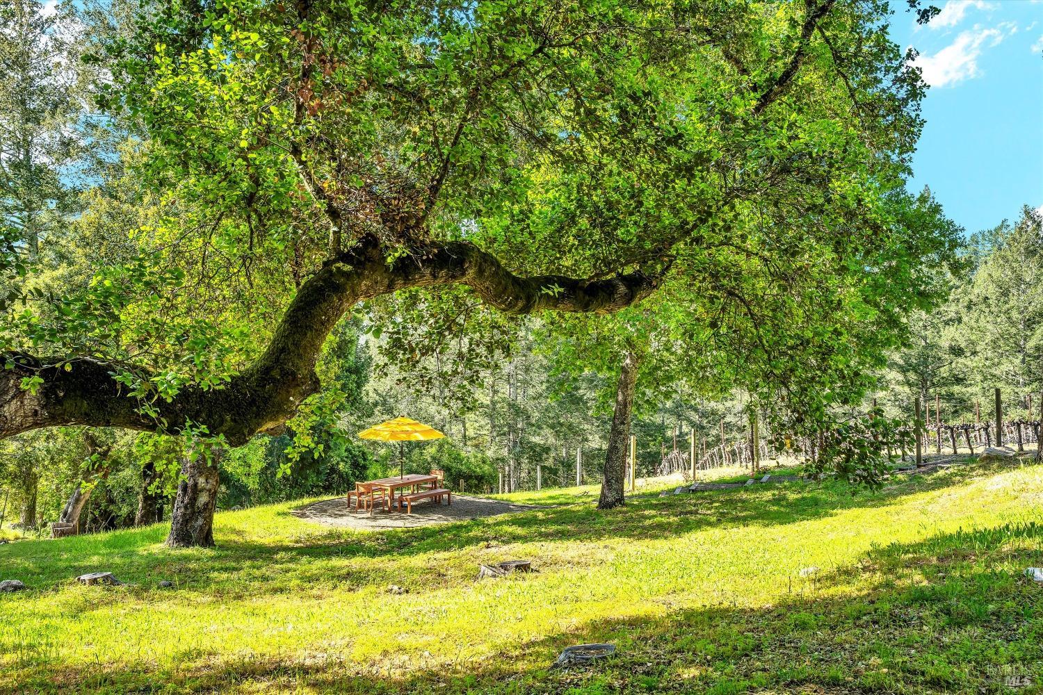 511 Kortum Canyon Road Calistoga CA 94515