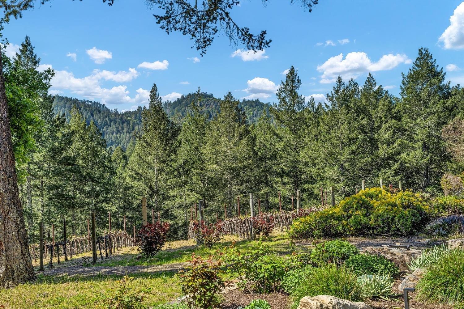 511 Kortum Canyon Road Calistoga CA 94515