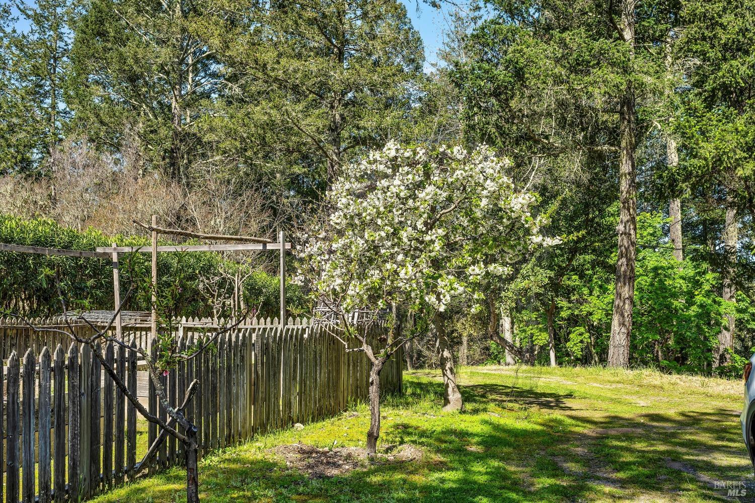 511 Kortum Canyon Road Calistoga CA 94515