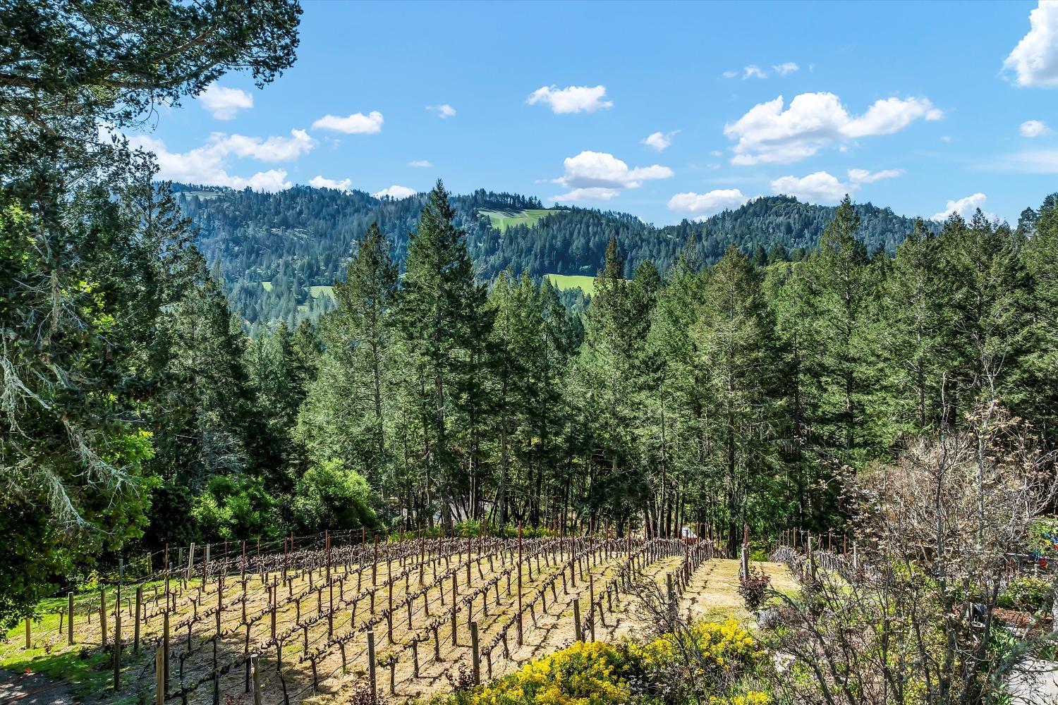 511 Kortum Canyon Road Calistoga CA 94515