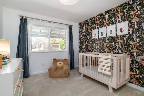 232 San Carlos Way Novato CA 94945