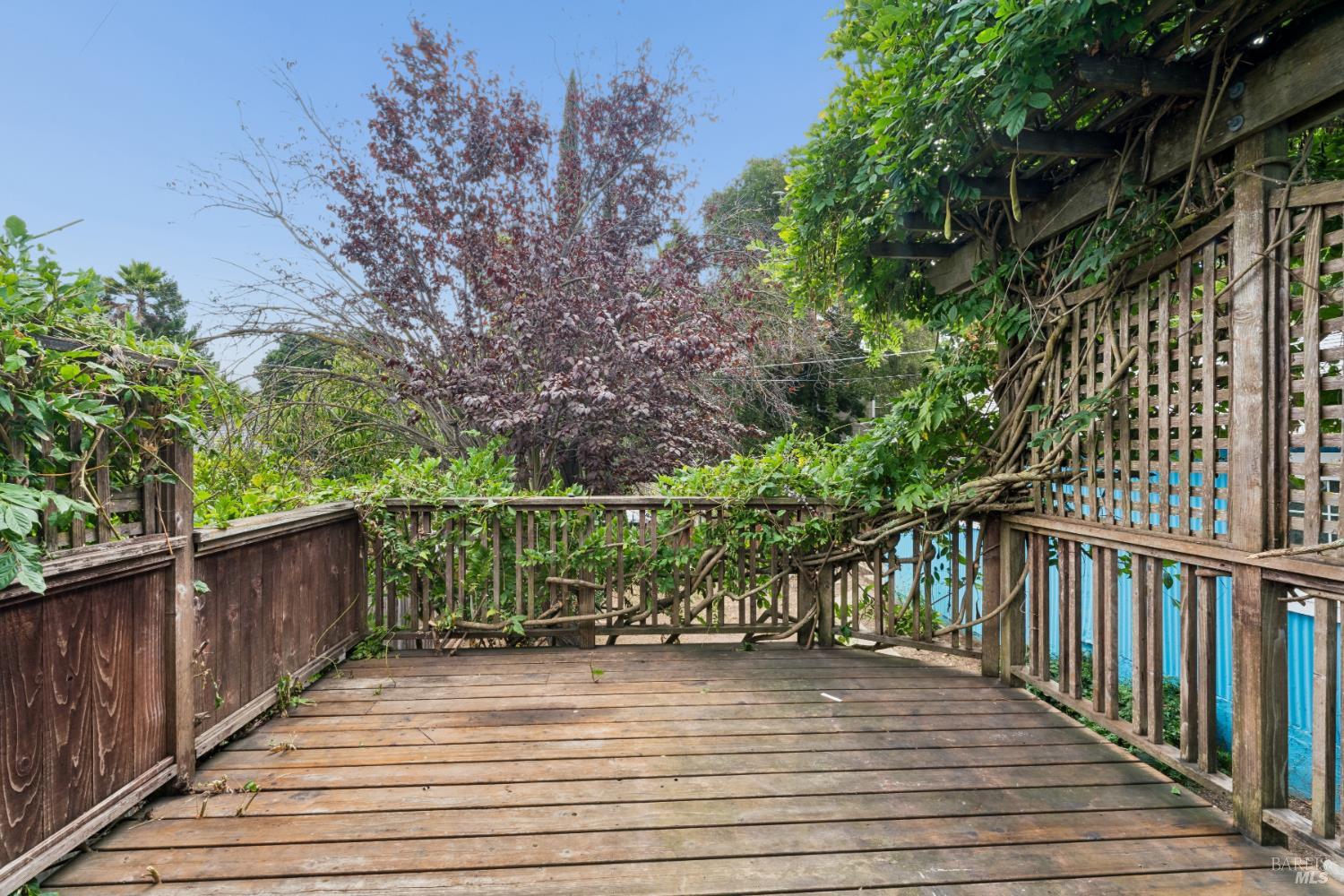 910 Branciforte Street Vallejo CA 94590
