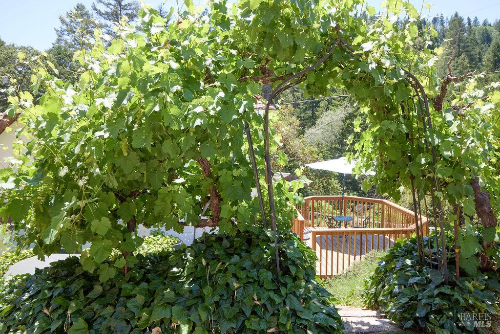 19400 Scenic Drive Redwood Valley CA 95470